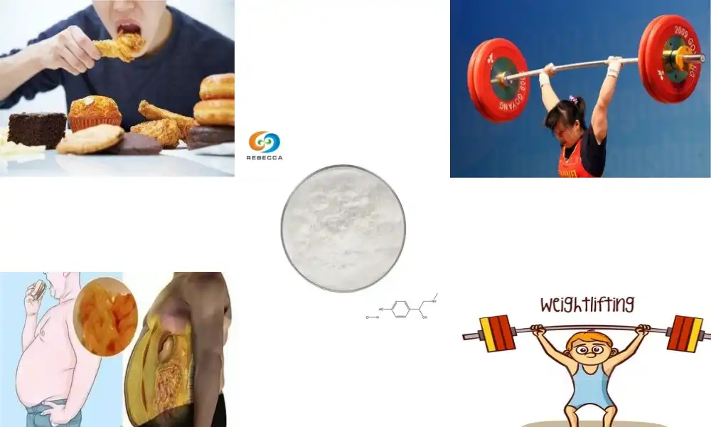 Synephrine HCL vs Caffeine: Which Burns Fat Better?